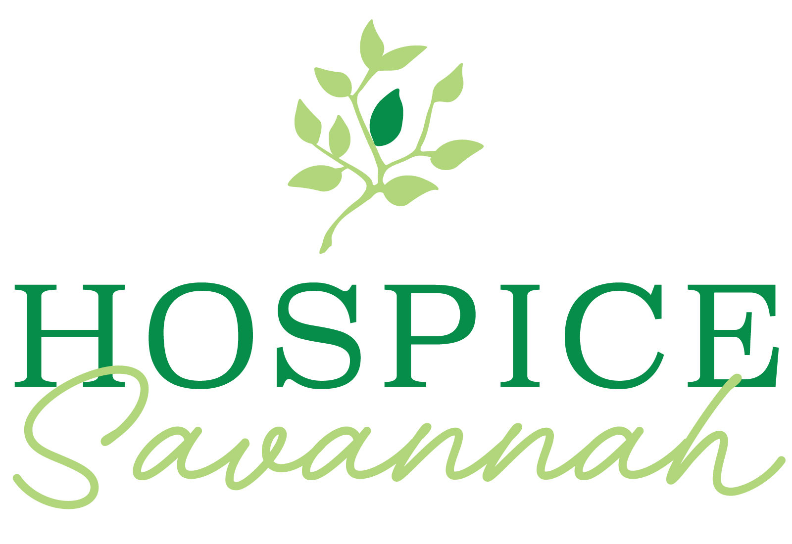Hospice Savannah