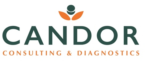 Candor Consulting And Diagnostics