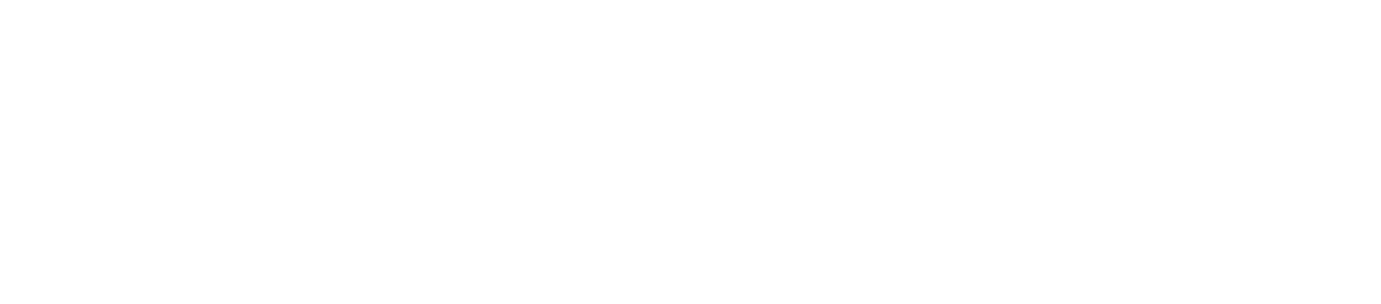 Anchor General Insurance Group