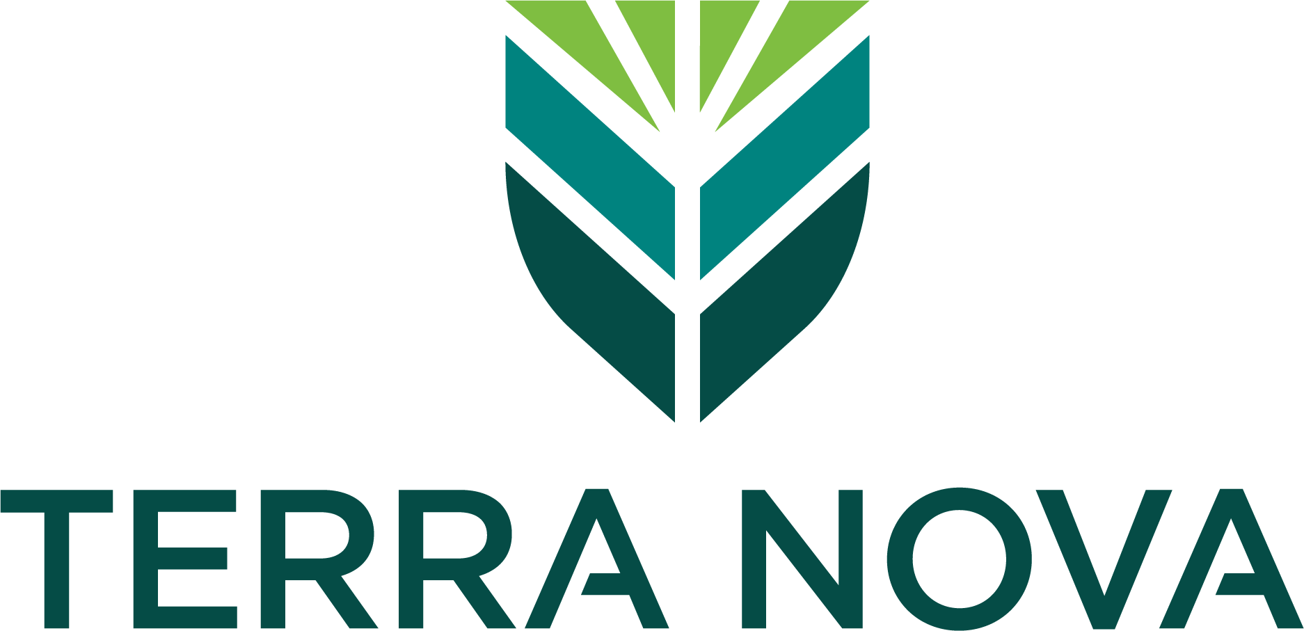 Terra Nova Solutions