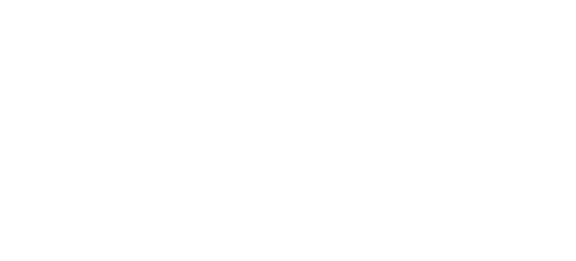 Arora Engineers logo
