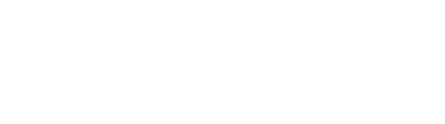 Priester Holdings logo