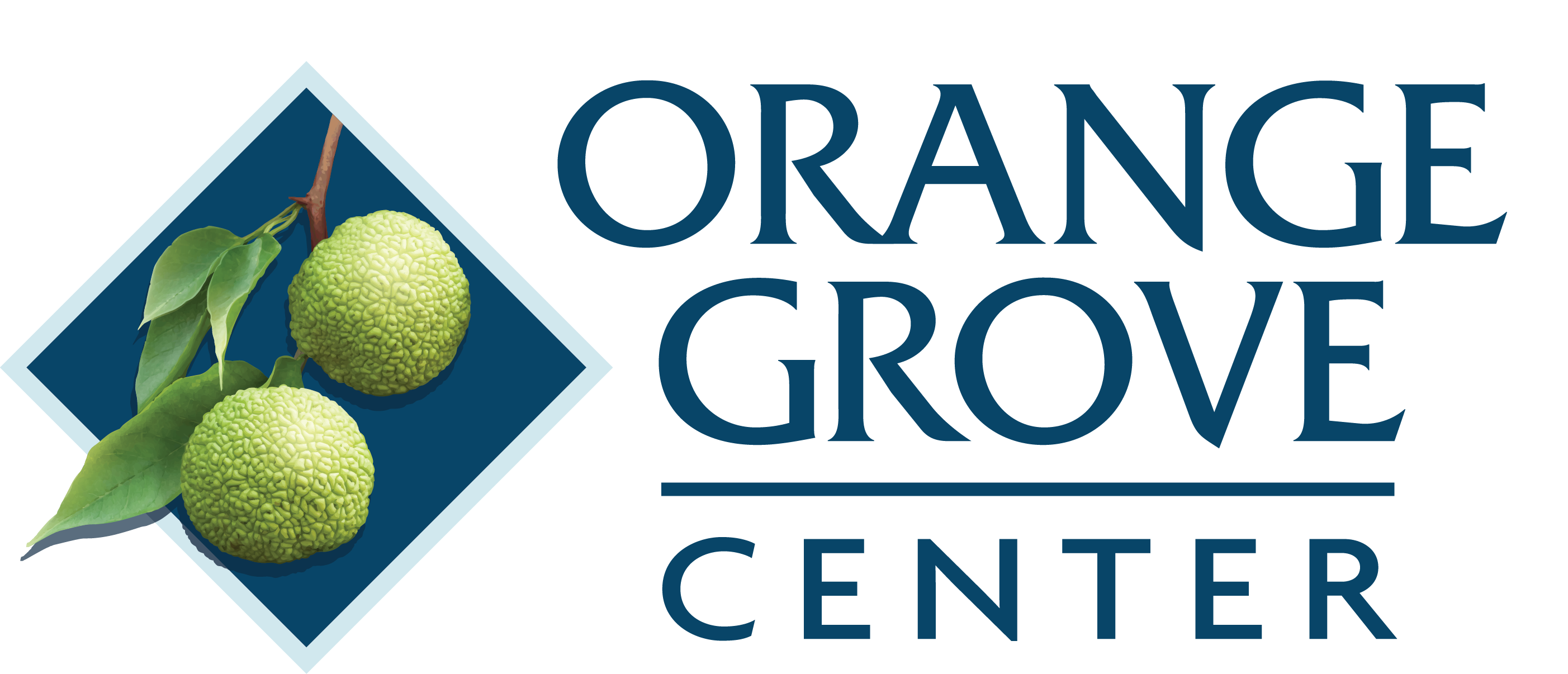 Orange Grove Center