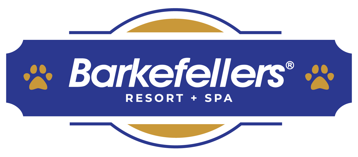 Barkefeller Group