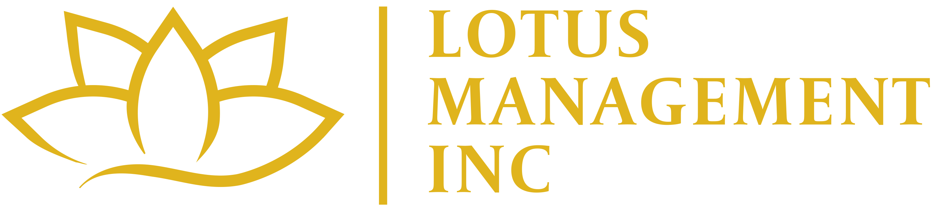 Lotus Management